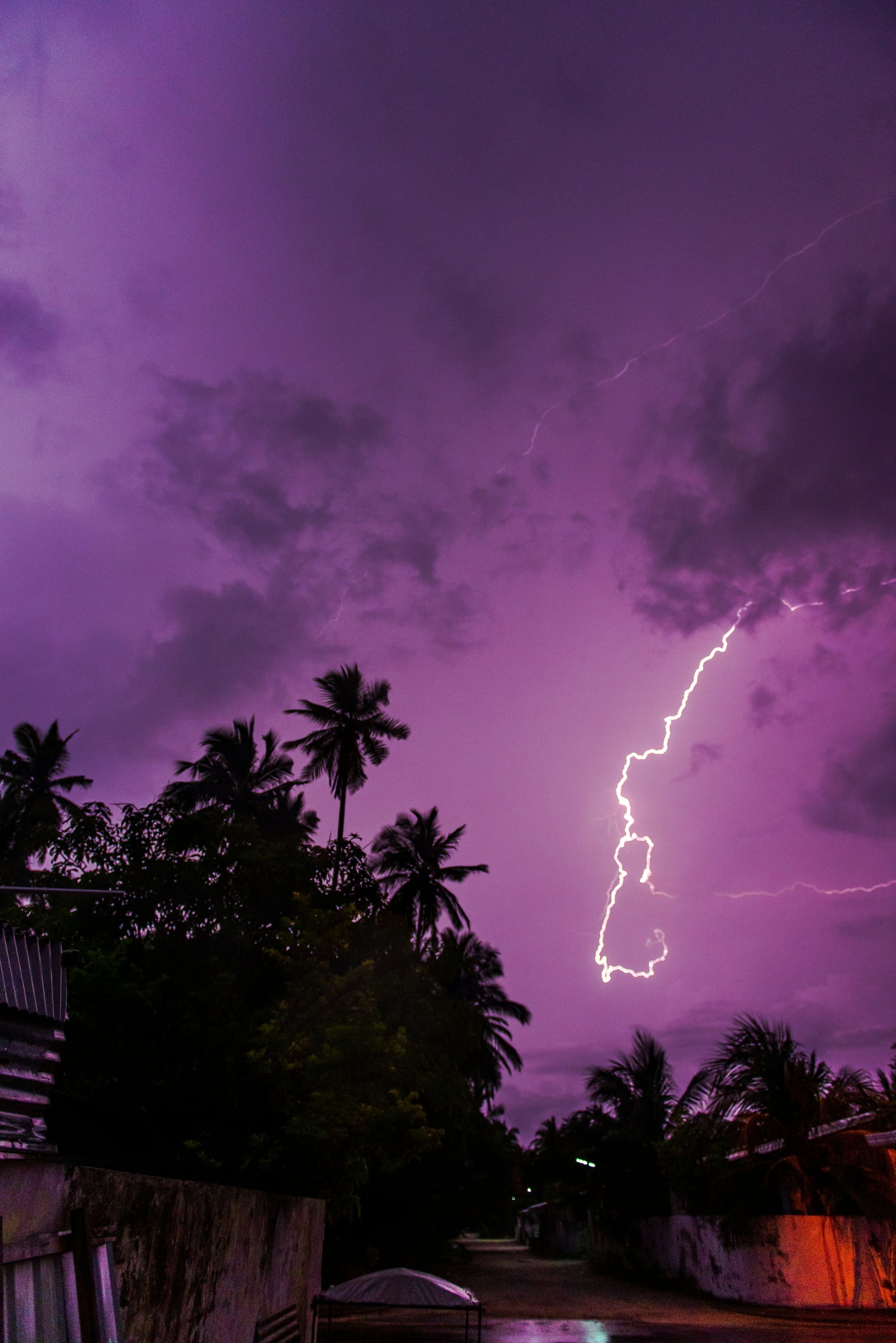 Lightning bolt striking during a tropical storm with palm trees silhouetted against a purple sky