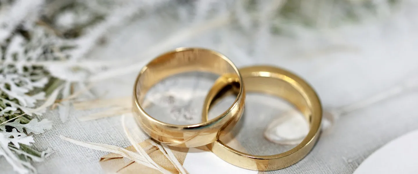 Two gold wedding bands resting on white fabric with dried botanical foliage in the background